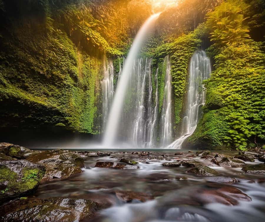 "Private Tour: Sendang Gile, Tiu Kelep Waterfall & Sembalun" - How $36 per person can still feel like a full North Lombok day