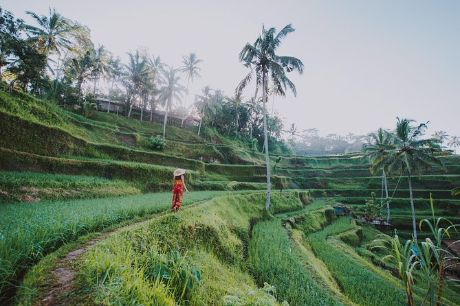 Private Tour: Ubud Highlights - Stop 5, D Alas Warung Restaurant: The Valley-View Break