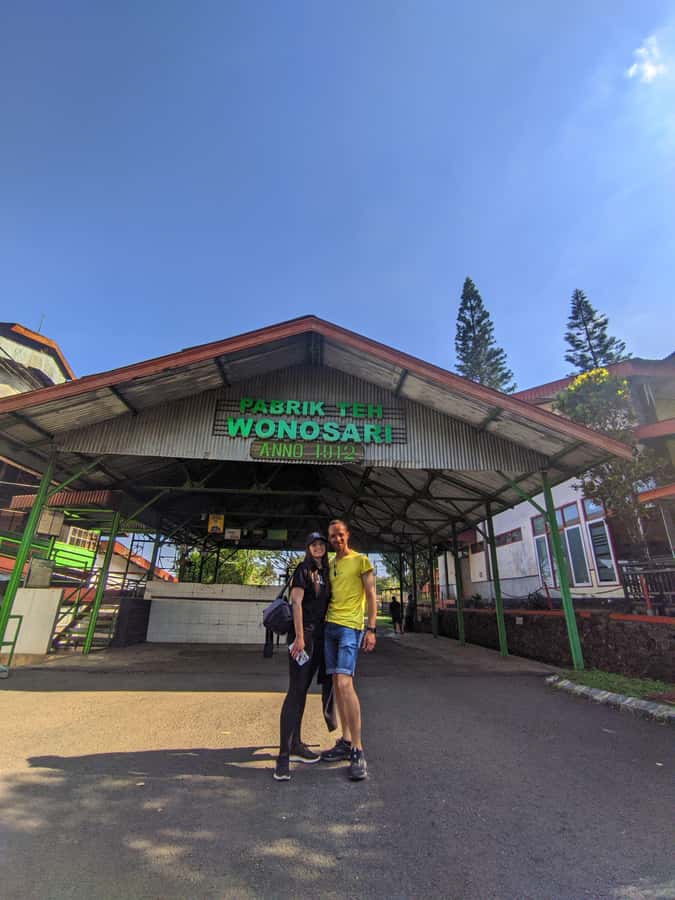 Private Trip Malang/Surabaya : Tour Tea Plantation Wonosari - Key things to know before you go