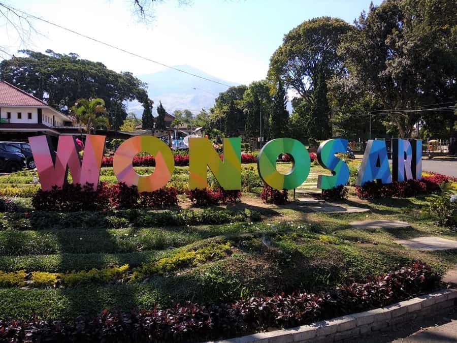 Private Trip Malang/Surabaya : Tour Tea Plantation Wonosari - Practical tips that can save your comfort (and your pictures)
