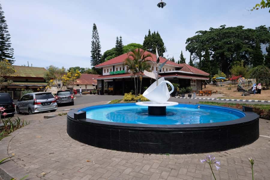 Private Trip Malang/Surabaya : Tour Tea Plantation Wonosari - Price and value: is $47 per person a fair deal?
