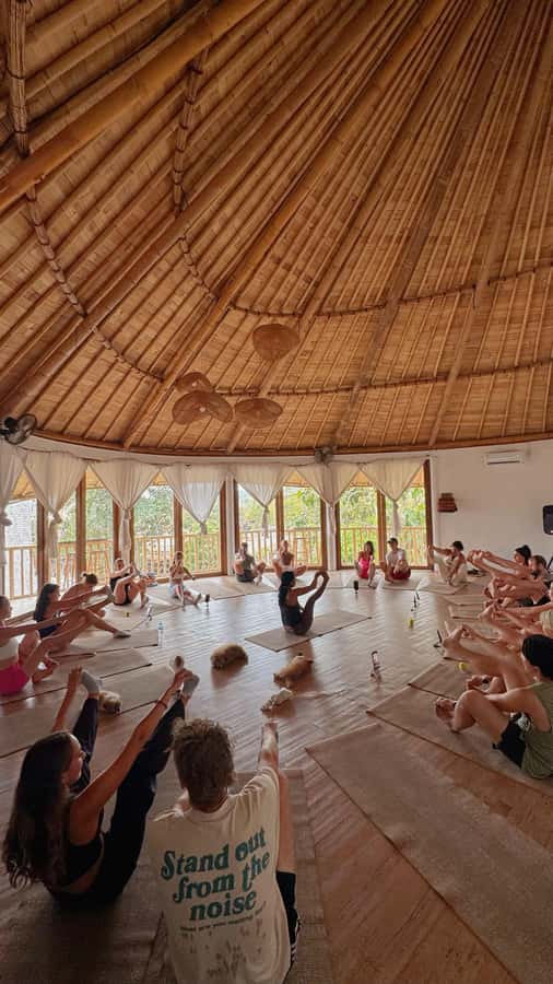 Puppy Yoga in Bali, Ubud & Uluwatu - The full 1-hour flow, from check-in to puppy play