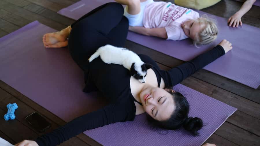 Puppy Yoga in Bali, Ubud & Uluwatu - Puppy time, cuddles, and photo expectations