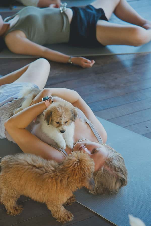 Puppy Yoga in Bali, Ubud & Uluwatu - Price, value, and the shelter cause behind the cuteness