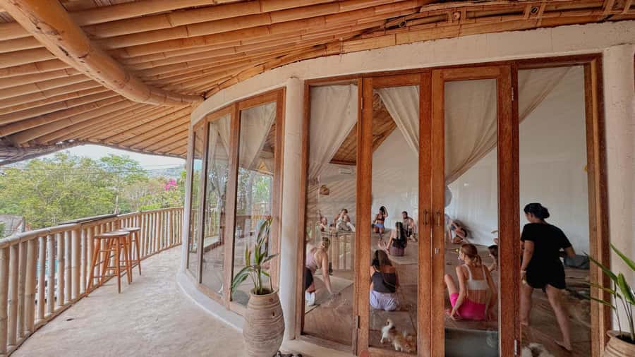 Puppy Yoga in Bali, Ubud & Uluwatu - Who should book this, and who should skip it