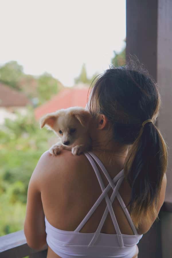 Puppy Yoga in Bali, Ubud & Uluwatu - Ubud or Uluwatu: choosing the right Bali atmosphere
