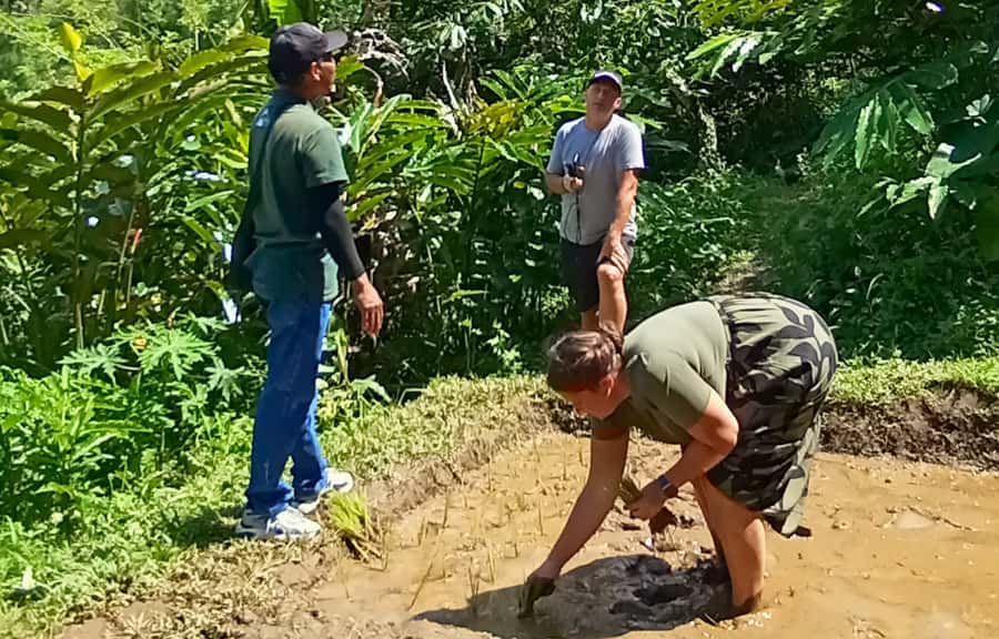 Pure Bali Village Experience Cooking & Jamu Class, Transfer - Balikaru herb and spice garden: where food and health overlap