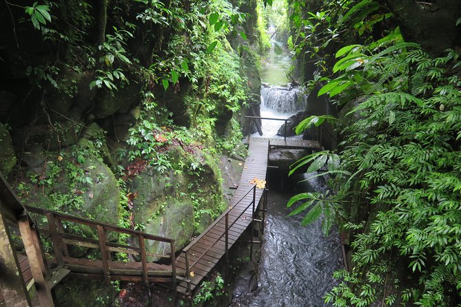 Quad or Buggy Tour with Canyon Tubing Adventure in Bali - The Ride Out: Villages, Plantations, and Rainforest Feel