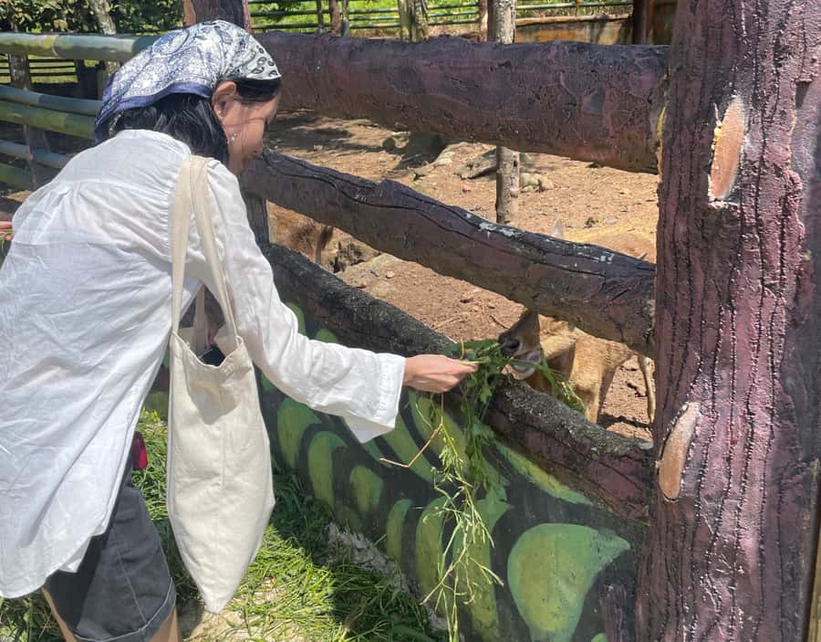 Safari Lagoi & Eco Farm Bintan - FAQ