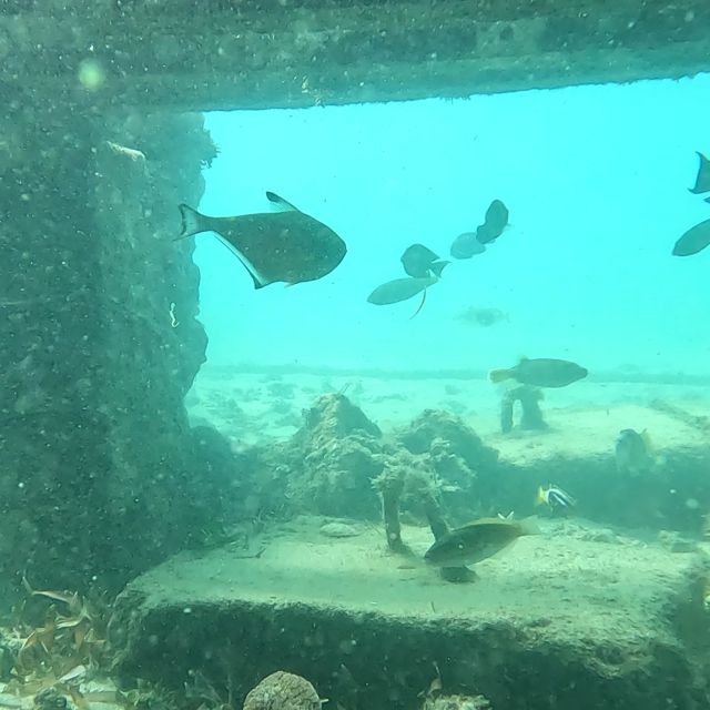 Sanur: Coastal Area Snorkeling Session - Key moments you should care about