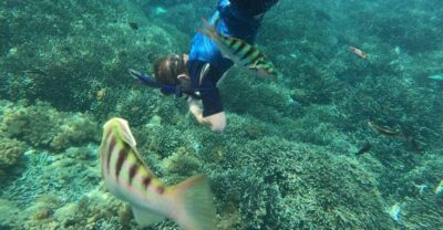 Coastal Area Snorkeling Session