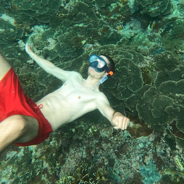 Sanur: Coastal Area Snorkeling Session - Fish food and the GoPro effect: how you get better viewing