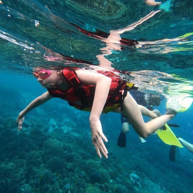 Sanur: Coastal Area Snorkeling Session - Price and value: what you’re really paying for