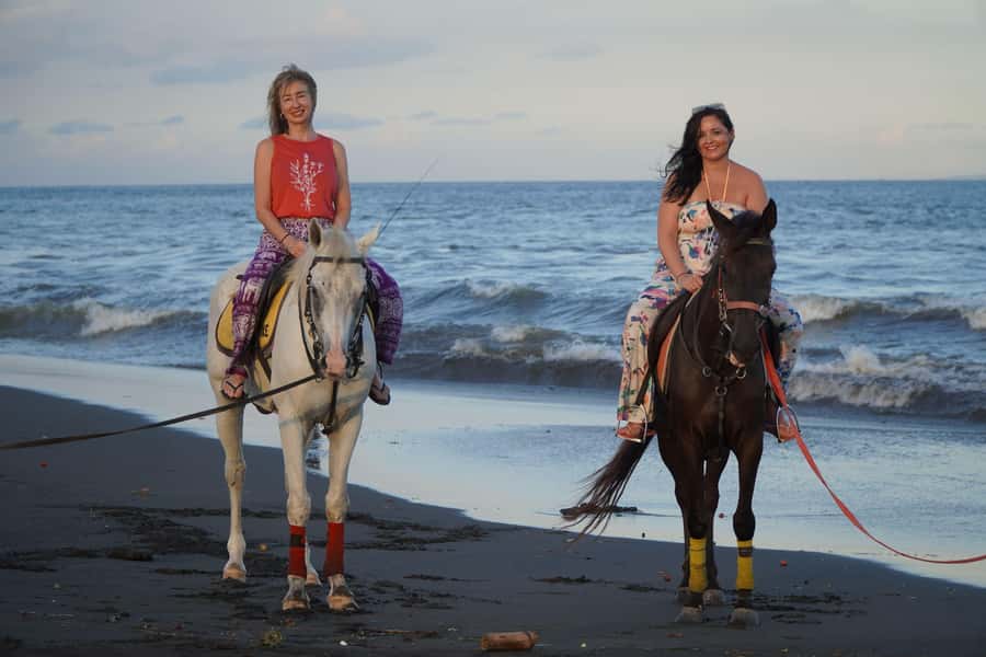 Sanur: Horse Riding at the Bali Beach 30 minute ride - The yard setup: helmets, horse handling, and a weight check if needed