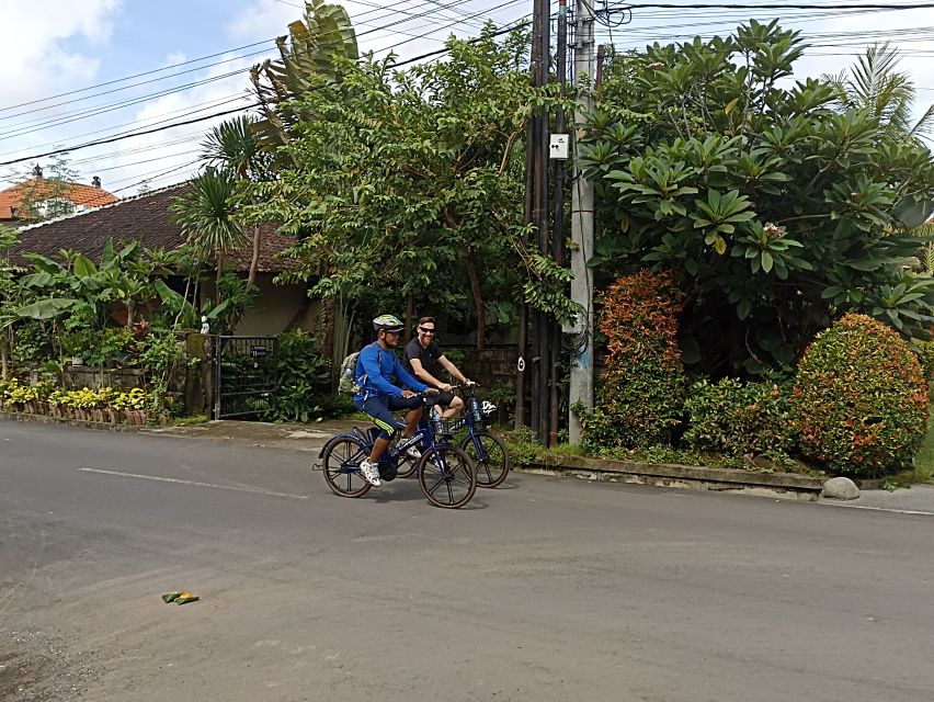 Sanur Village E-bike Tour: Family-Friendly Adventure - Who this Sanur Village e-bike tour fits best