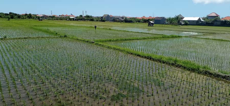 Sanur Village E-bike Tour: Family-Friendly Adventure - Price and value: where $47 makes sense