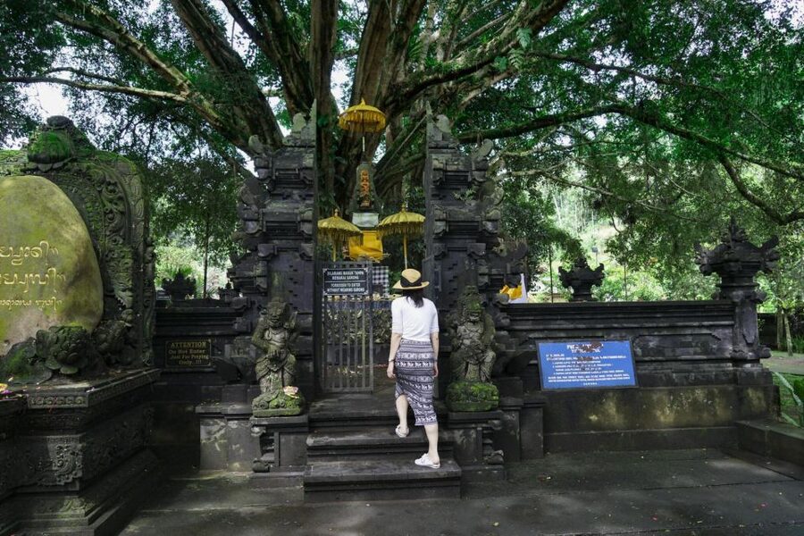 Scenic Cycling Tours Through Bali's Sidemen Countryside - Who should choose this Sidemen cycling tour