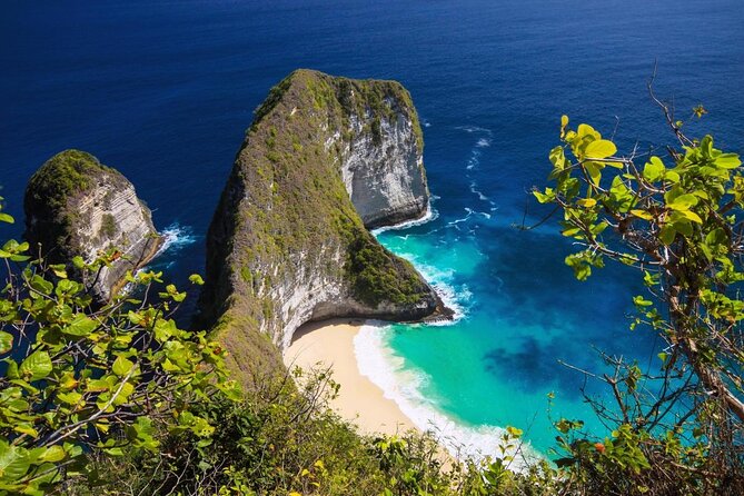 Scuba Diving in Nusa Penida - Manta Point - Key things that make this trip special