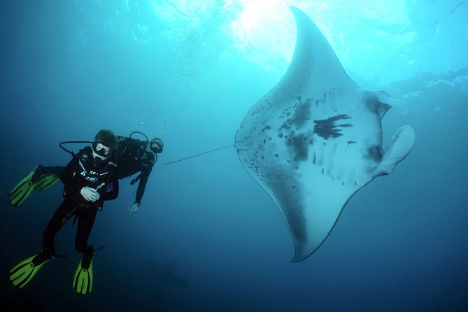 Scuba Diving Nusa Penida Manta Point 3 dives for certified divers - From Kuta area to Sanur: the early start that drives the schedule