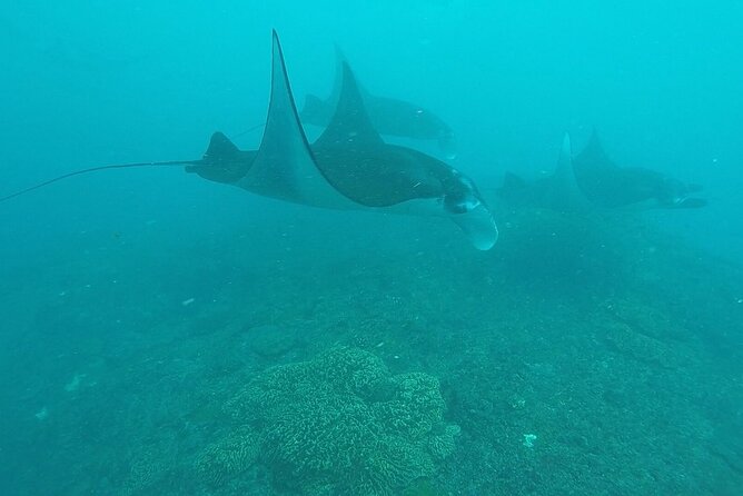 Scuba Diving Nusa Penida Manta Point 3 dives for certified divers - Comfort on the speedboat: Wi-Fi, marine toilet, and the stuff that saves your day