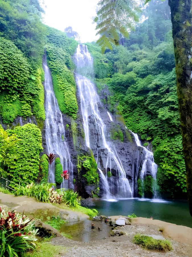 Sekumpul & Banyumala Waterfalls – Private North Bali Tour - Why Sekumpul and Banyumala work so well together