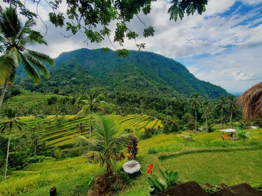 Sekumpul & Banyumala Waterfalls – Private North Bali Tour - Twin Lakes viewpoint over Buyan and Tamblingan