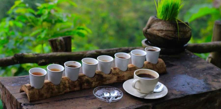 Sekumpul & Banyumala Waterfalls – Private North Bali Tour - Who this private tour is best for