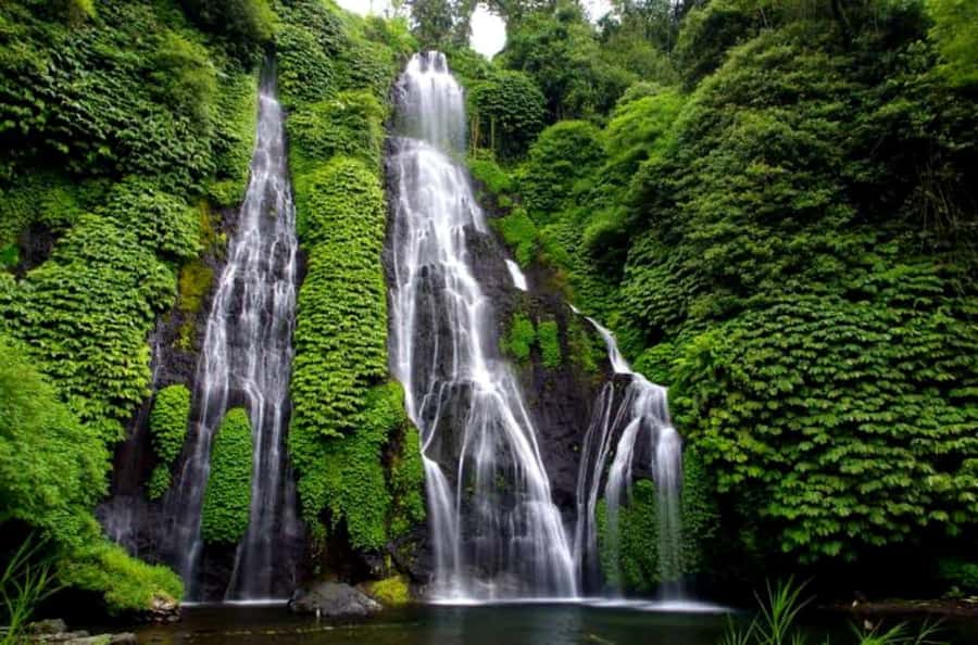 Sekumpul & Banyumala Waterfalls – Private North Bali Tour - Getting picked up and moving through North Bali