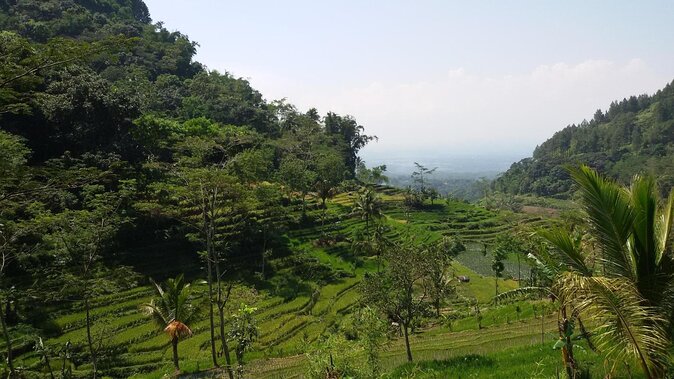 Selogriyo Temple and Trekking Java Rice Terraces, hidden waterfall -Nature Java - Key things to know before you go