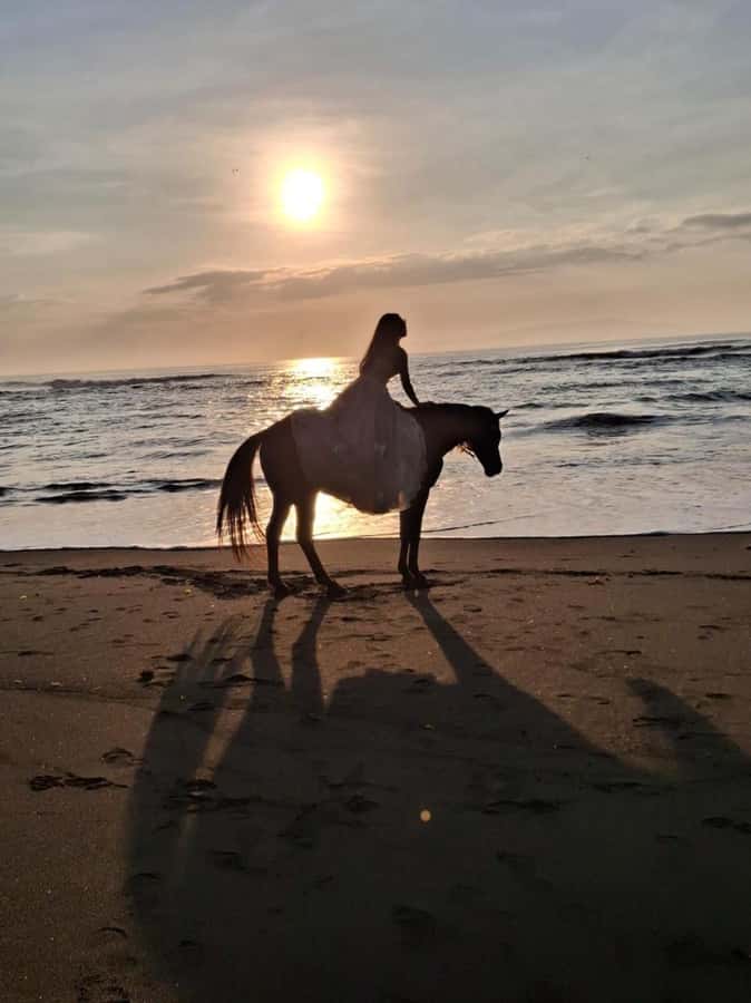 Seminyak: Bali Horse riding Adventure Seminyak Beach - Why Seminyak Beach Horse Riding Feels Different Than a Basic Tour