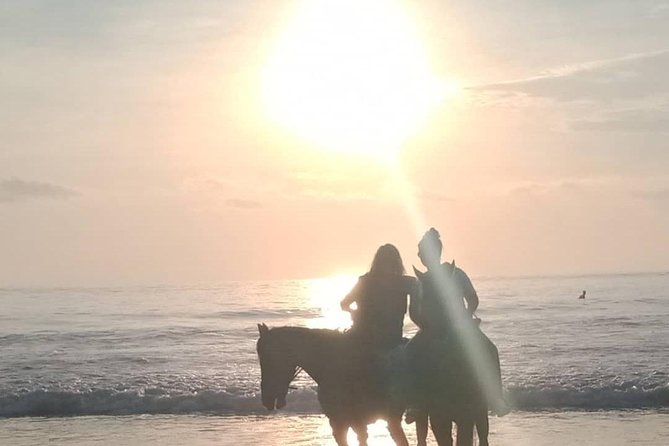 Seminyak Beach Bali Horse Riding - Price and Value: Is $63.95 for an Hour Fair?