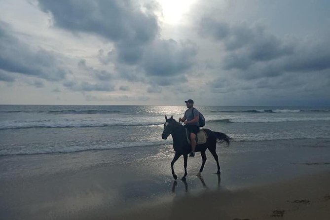 Seminyak Beach Bali Horse Riding - Getting There and What Is Not Included
