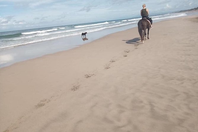 Seminyak Beach Bali Horse Riding - Sunset Timing: Choosing the Right Start Time Slot