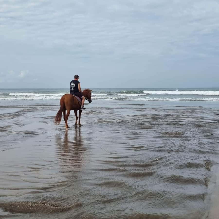 Seminyak Beach Horse Riding Experience - Seminyak Beach on horseback, the real reason it’s worth your time