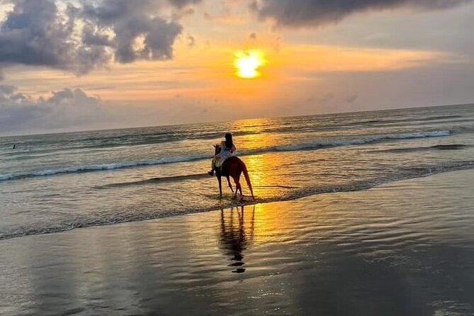 Seminyak beach Private Bali Horse Riding - Seminyak Beach Horse Riding: What You’re Actually Paying For
