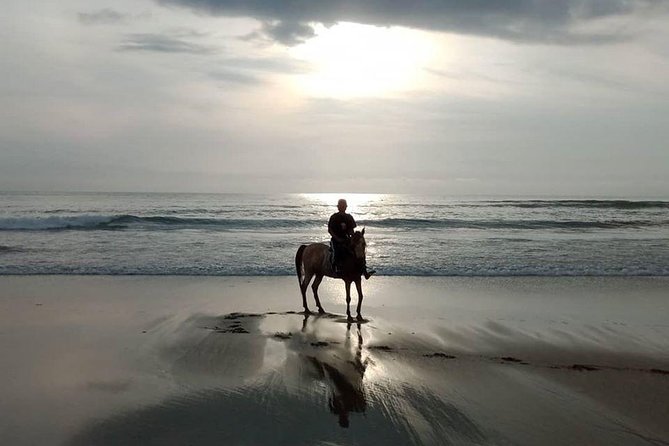 Seminyak beach Private Bali Horse Riding - Private Tour Reality: Solo Comfort, One Big Caveat