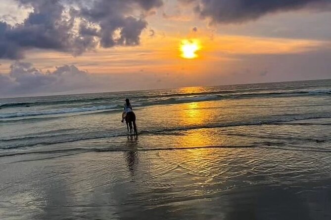 Seminyak beach Private Bali Horse Riding - The 1-Hour Flow, From Meet-Up to Ocean Shore