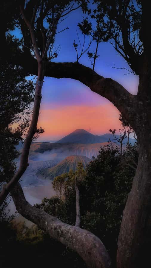 Shared Tour Bromo Start Cemorolawang Probolinggo - Key points to know before you go