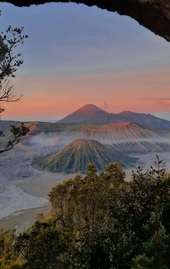 Shared Tour Bromo Start Cemorolawang Probolinggo - Early-Morning Pickup in Cemorolawang, what that 5-hour plan really means