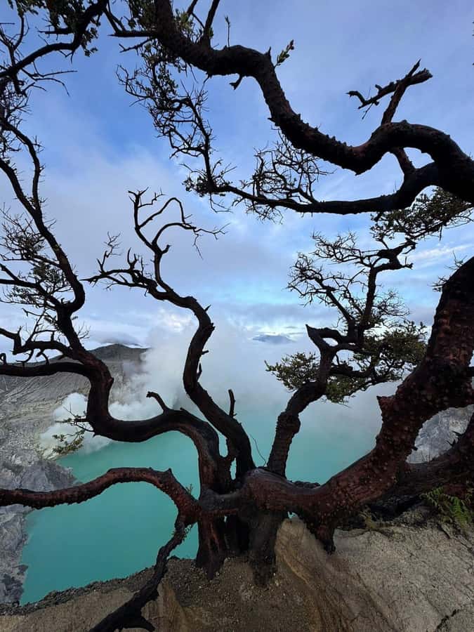 Shared Tour Mount Ijen 1D start from Banyuwangi - Blue fire and the midnight start at Kawah Ijen