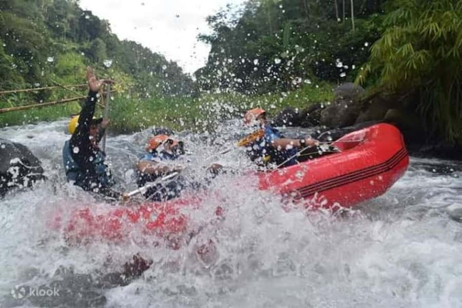 Sidemen Bali Private Rafting on Telaga Waja River With Lunch - Value for Money: What $25 Buys You on Telaga Waja