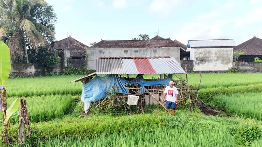 Sidemen rice terraces trek and local village walk - Key points I’d focus on