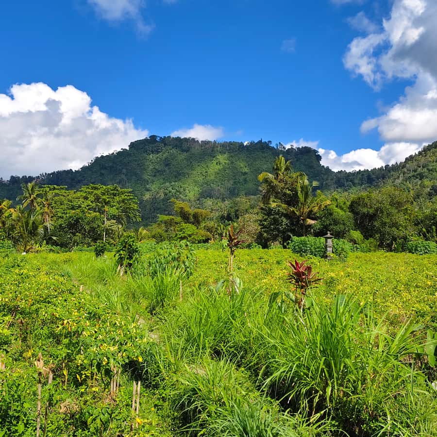 Sidemen rice terraces trek and local village walk - What to bring for a comfortable Sidemen trek