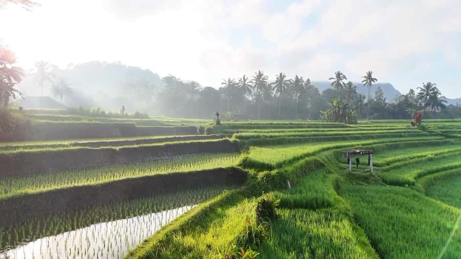 Sidemen rice terraces trek and local village walk - The guide experience: Juni and Kadek set the tone