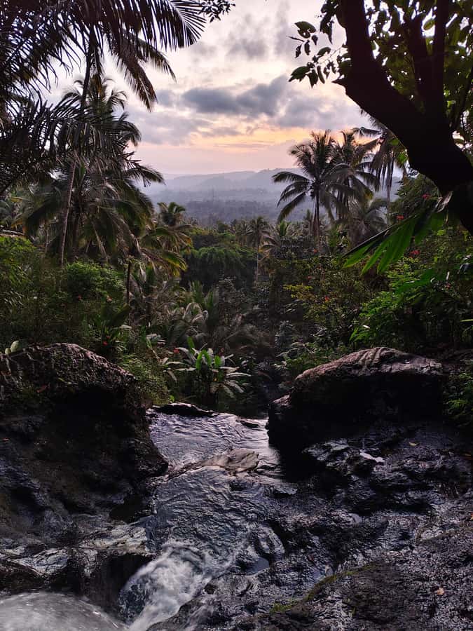 Sidemen: Rice Terraces, Waterfall, & Village Tour - A 5-hour Sidemen mix that works for first-timers and repeat visitors