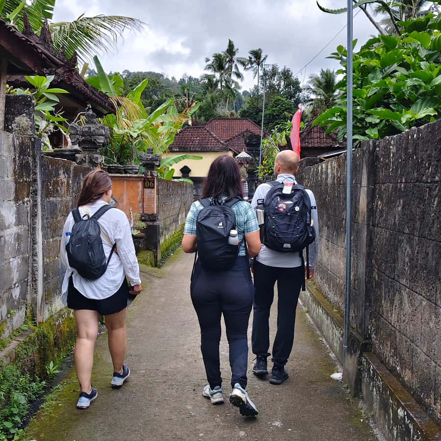 Sidemen: Rice Terraces, Waterfall, & Village Tour - Balinese village walk and a family home visit you can actually understand