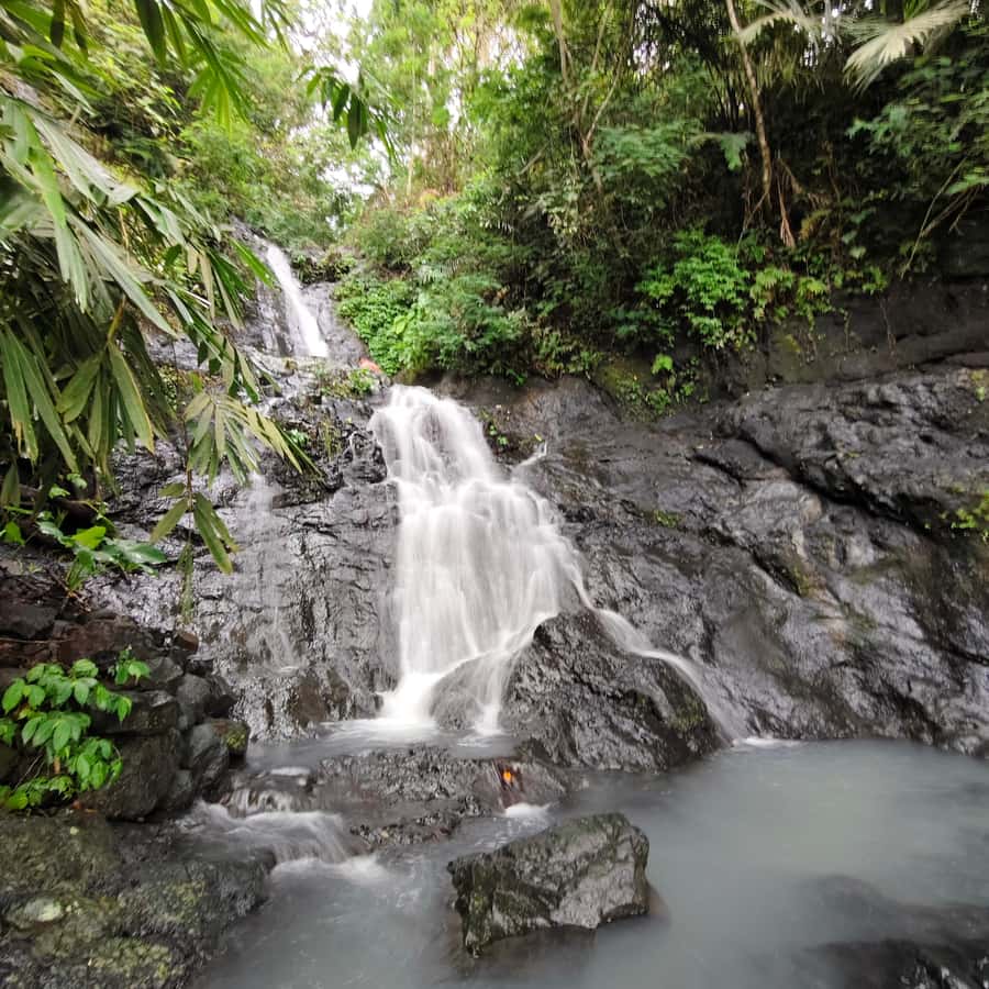 Sidemen: Rice Terraces, Waterfall, & Village Tour - Sidemen rice terraces: learning the farming story behind the views