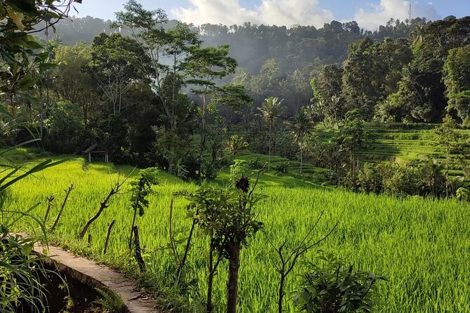 Sidemen Trekking: A Walk from a Different Perspective - Food-market to farmland: the hidden gem photo stop