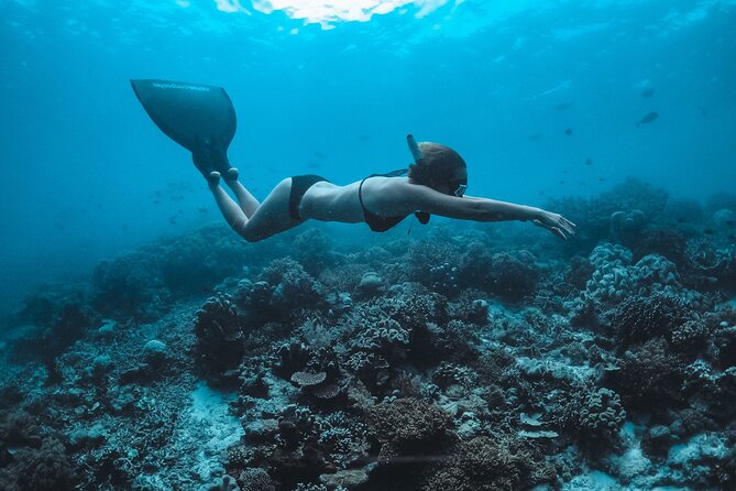 Snorkeling and Freediving Trip around Nusa Penida - Meeting Freedive Nusa in Ped: gear handoff and the briefing style