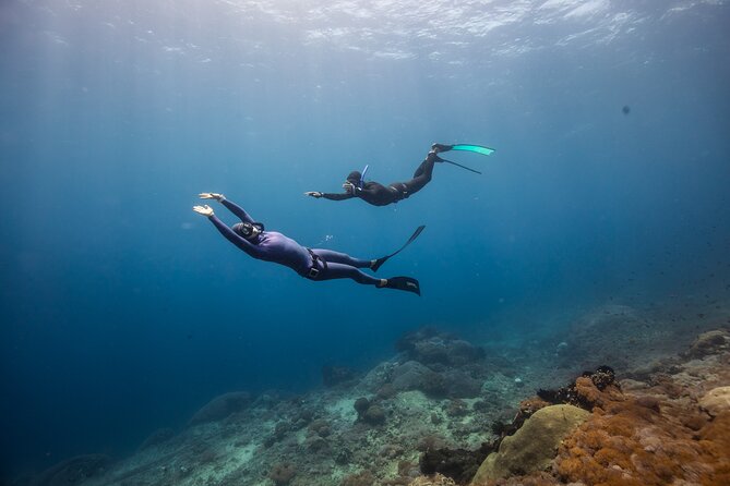 Snorkeling and Freediving Trip around Nusa Penida - SD Point drift and why turtles often show up there